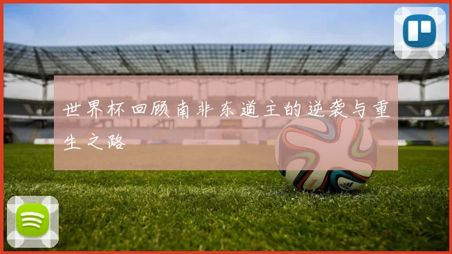 世界杯回顾南非东道主的逆袭与重生之路